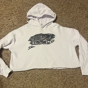 Stowe Mountain Cropped Hoodie with Graphic Design